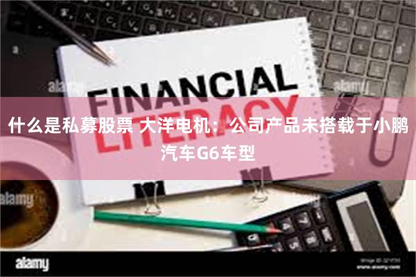 什么是私募股票 大洋电机：公司产品未搭载于小鹏汽车G6车型