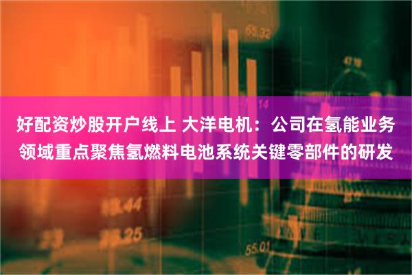 好配资炒股开户线上 大洋电机：公司在氢能业务领域重点聚焦氢燃料电池系统关键零部件的研发