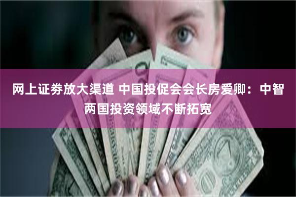 网上证劵放大渠道 中国投促会会长房爱卿：中智两国投资领域不断拓宽