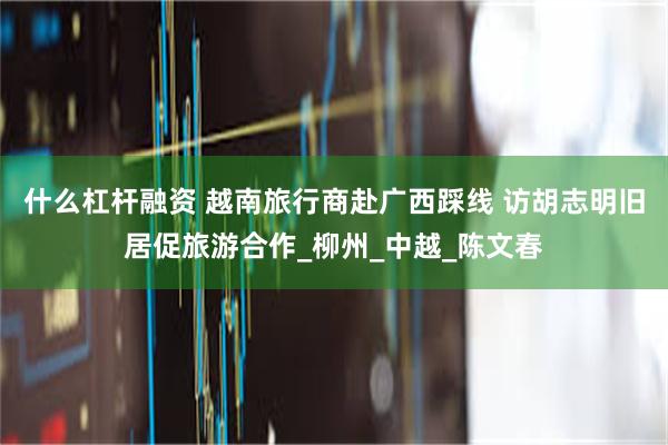 什么杠杆融资 越南旅行商赴广西踩线 访胡志明旧居促旅游合作_柳州_中越_陈文春