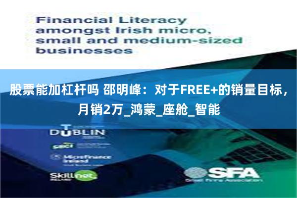 股票能加杠杆吗 邵明峰：对于FREE+的销量目标，月销2万_鸿蒙_座舱_智能