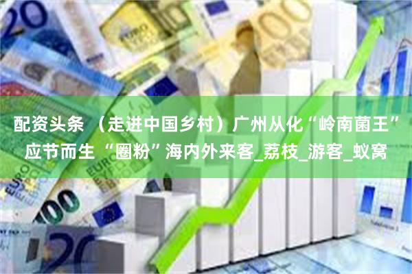 配资头条 （走进中国乡村）广州从化“岭南菌王”应节而生 “圈粉”海内外来客_荔枝_游客_蚁窝
