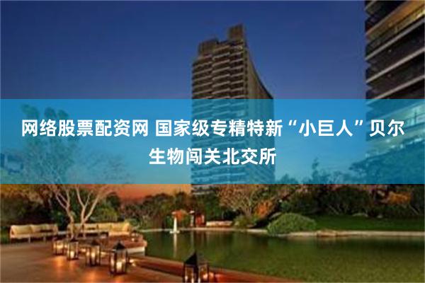 网络股票配资网 国家级专精特新“小巨人”贝尔生物闯关北交所
